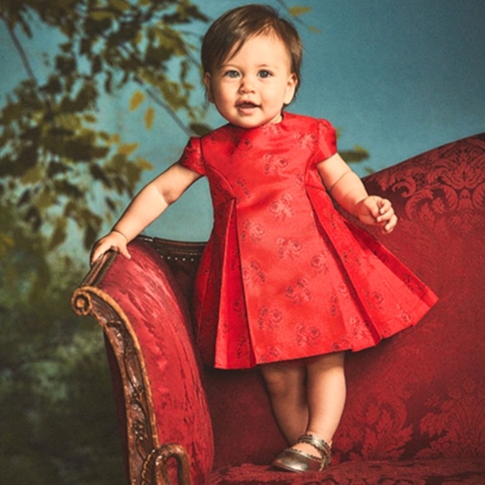 NWOT Janie and Jack 6-12m Jacquard rose red dress.